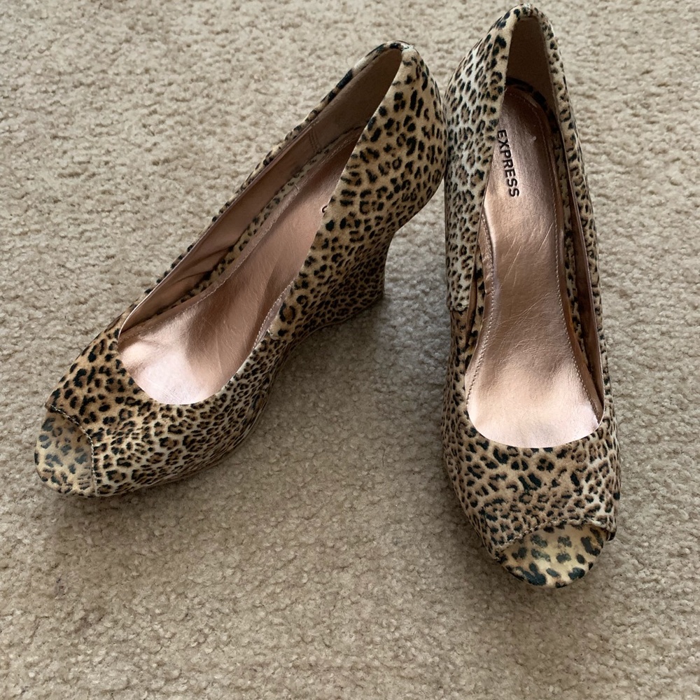 Cheetah wedge